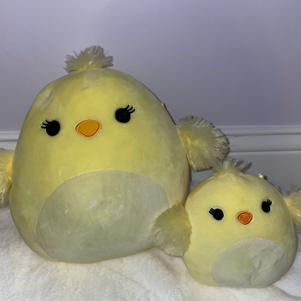 Chick squishmallow bundle